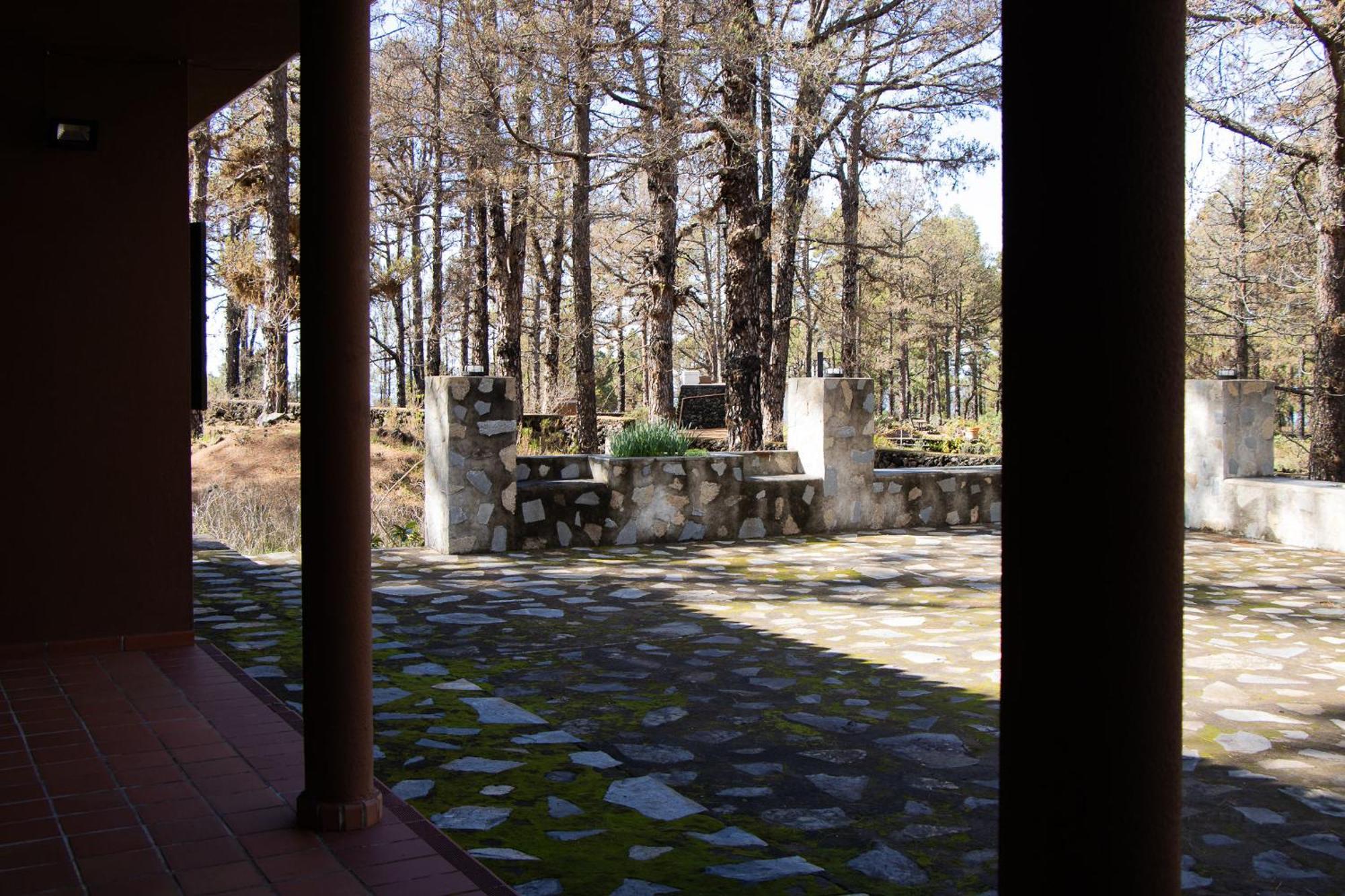 Vivienda Vacacional Alameda エル・パソ エクステリア 写真